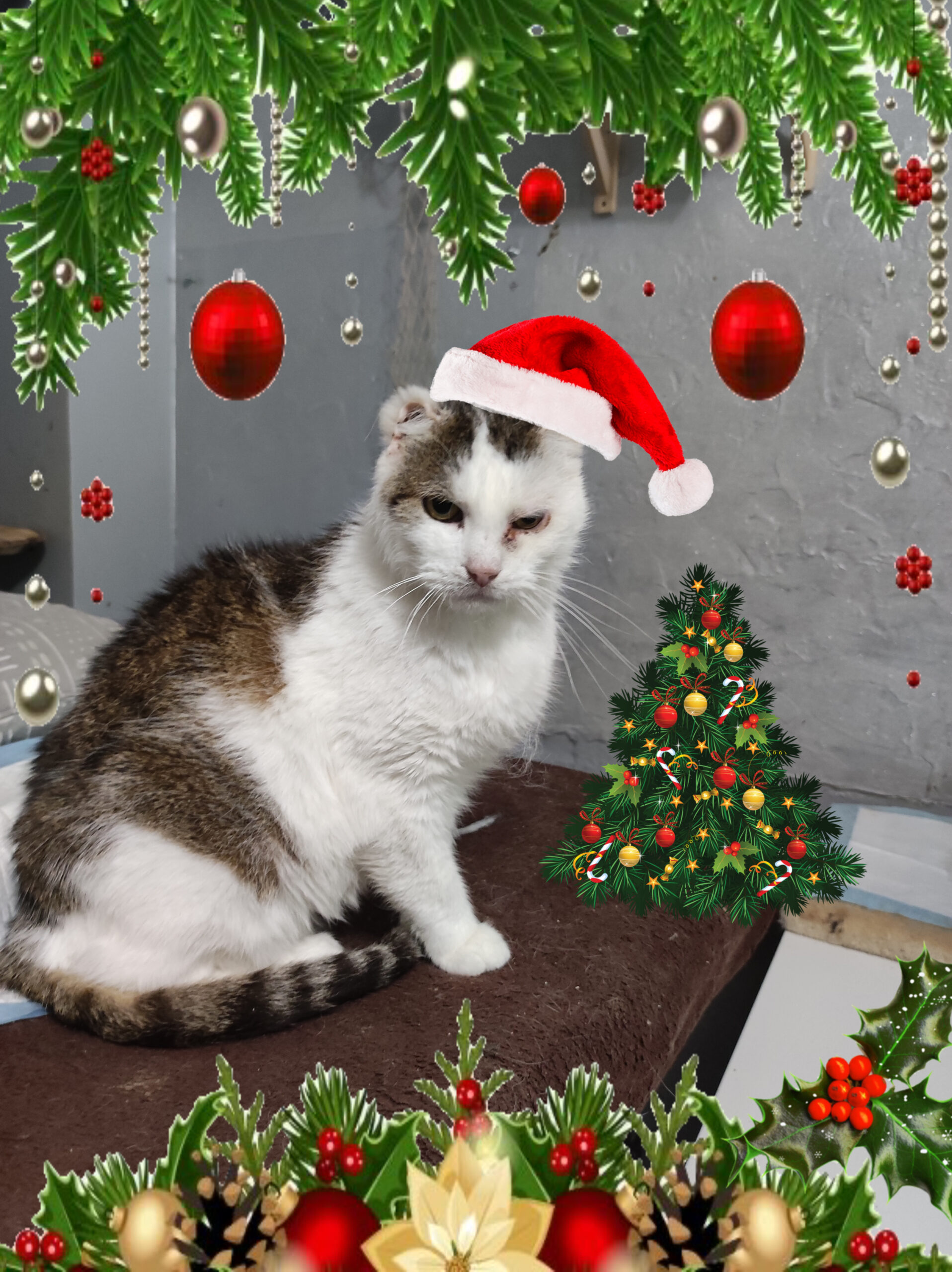 34EC8EAC-9815-4DCE-A2CF-C5811BC7B3EF