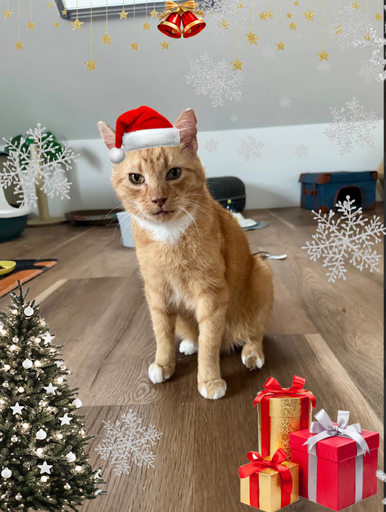 58B1F8EB-FE5A-4889-99B9-C571D0A44129