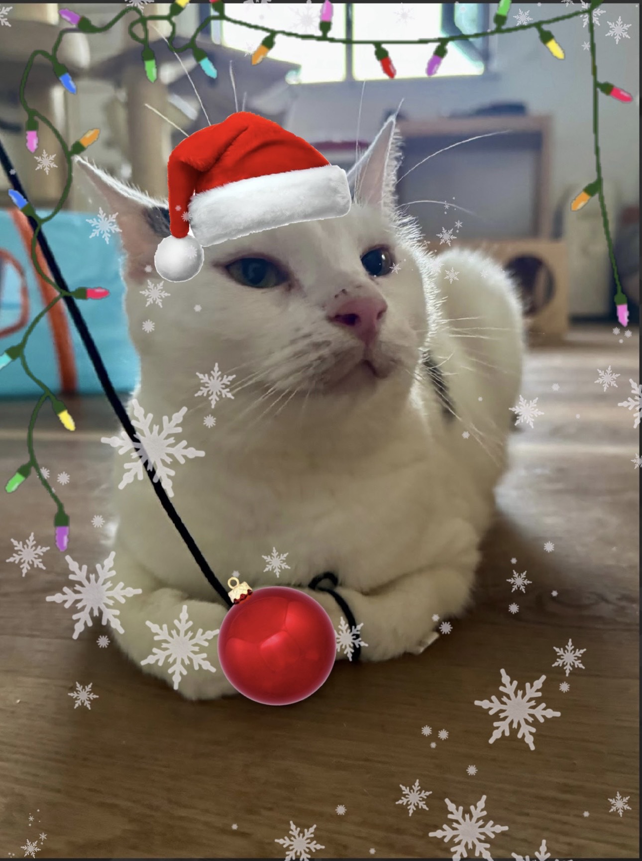 761CAD93-29F5-45E5-9CC8-28D25FF337C8