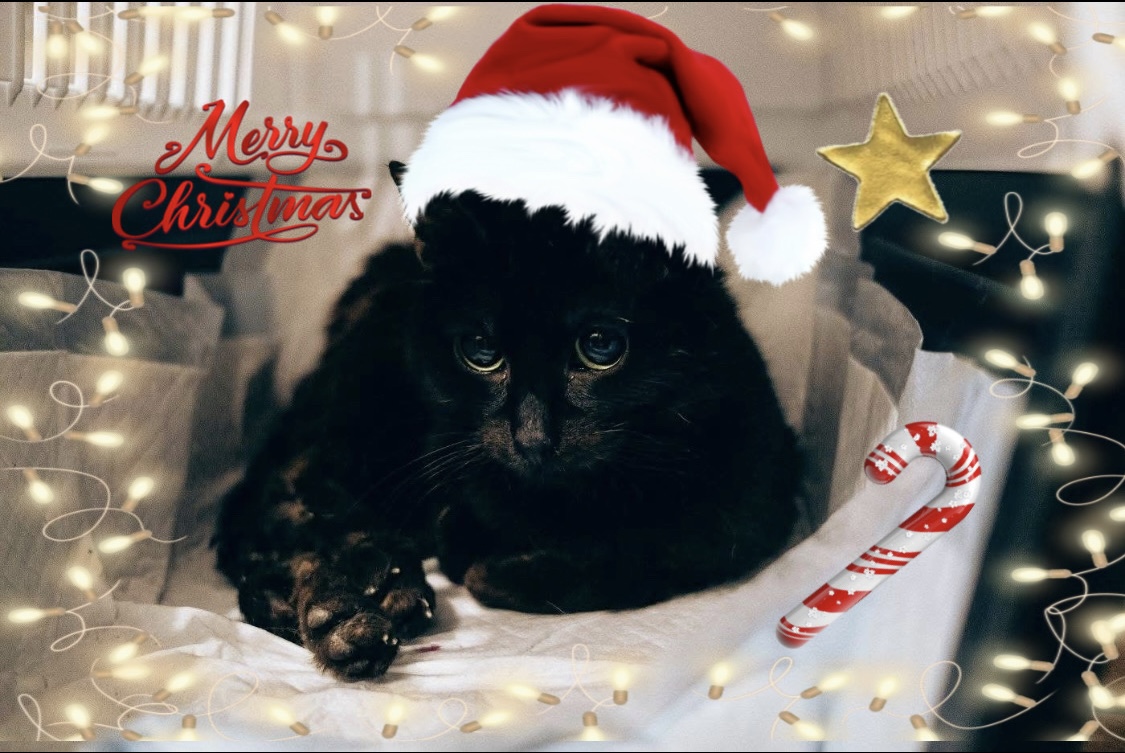 8C33AA5A-B34B-41E6-897E-BCE96E109F83