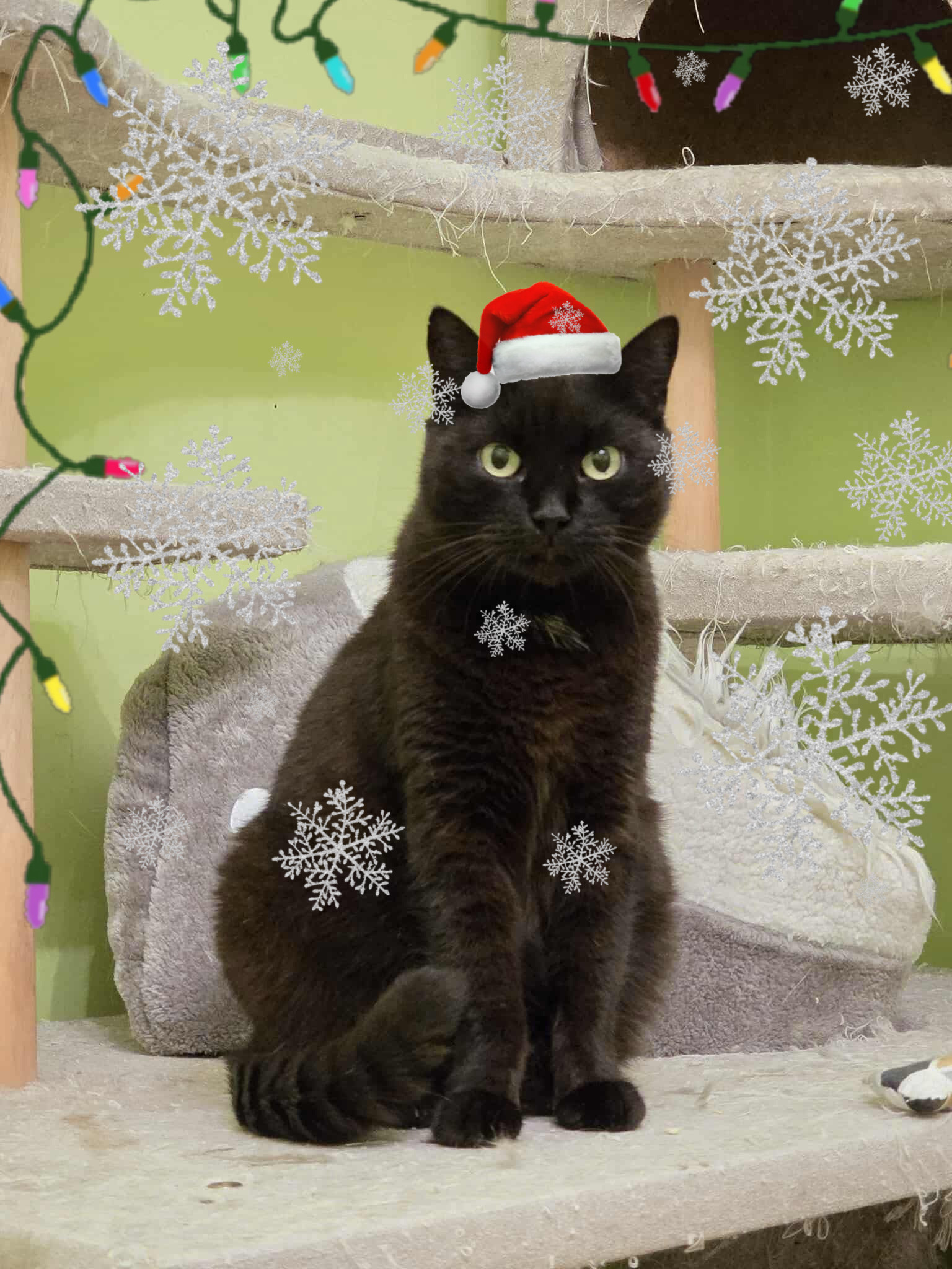 BF831E10-60D5-454F-A081-41980C7BF48C