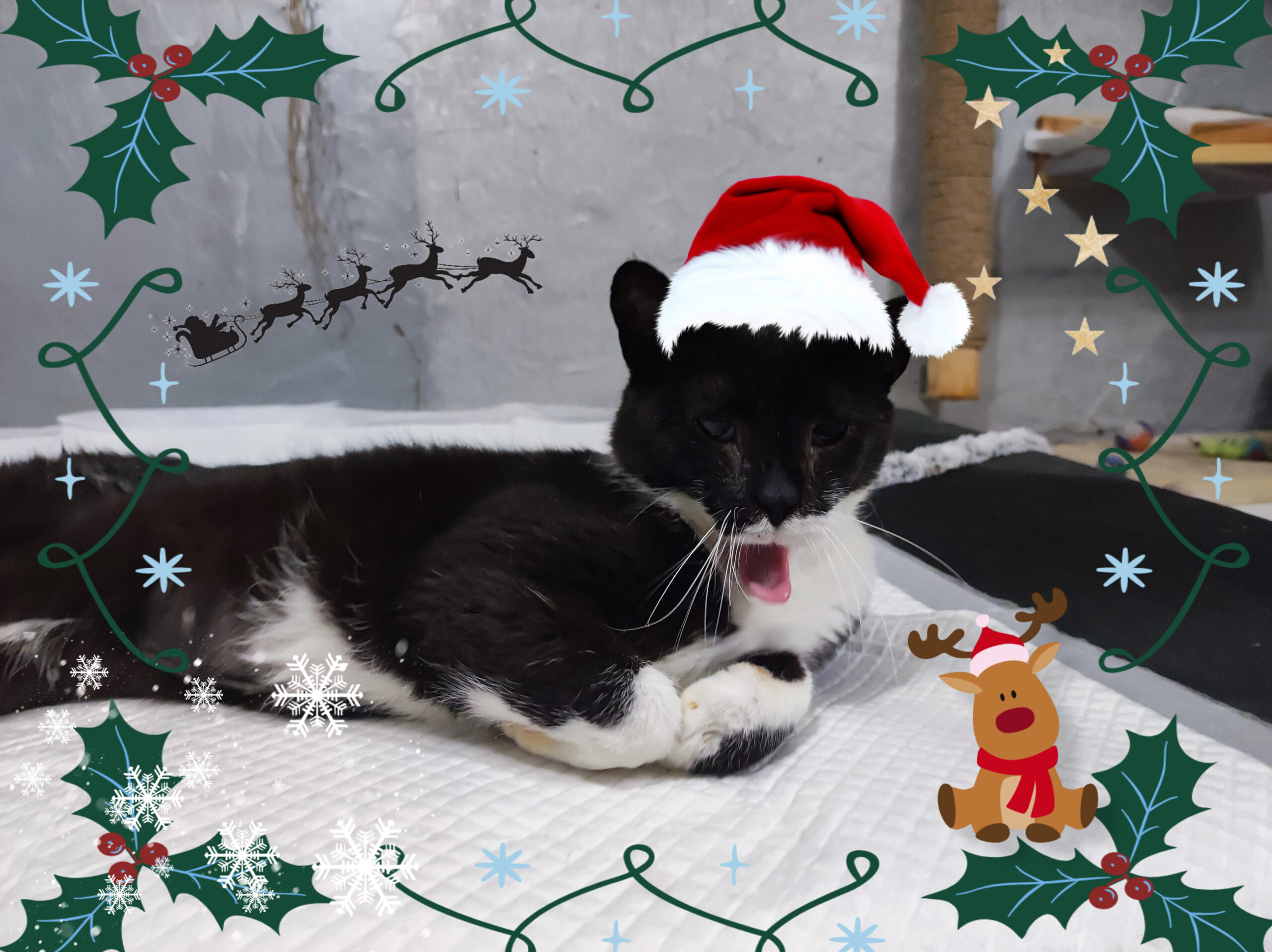 D4ADFF6F-1FC7-4895-B392-BEA532B561C3