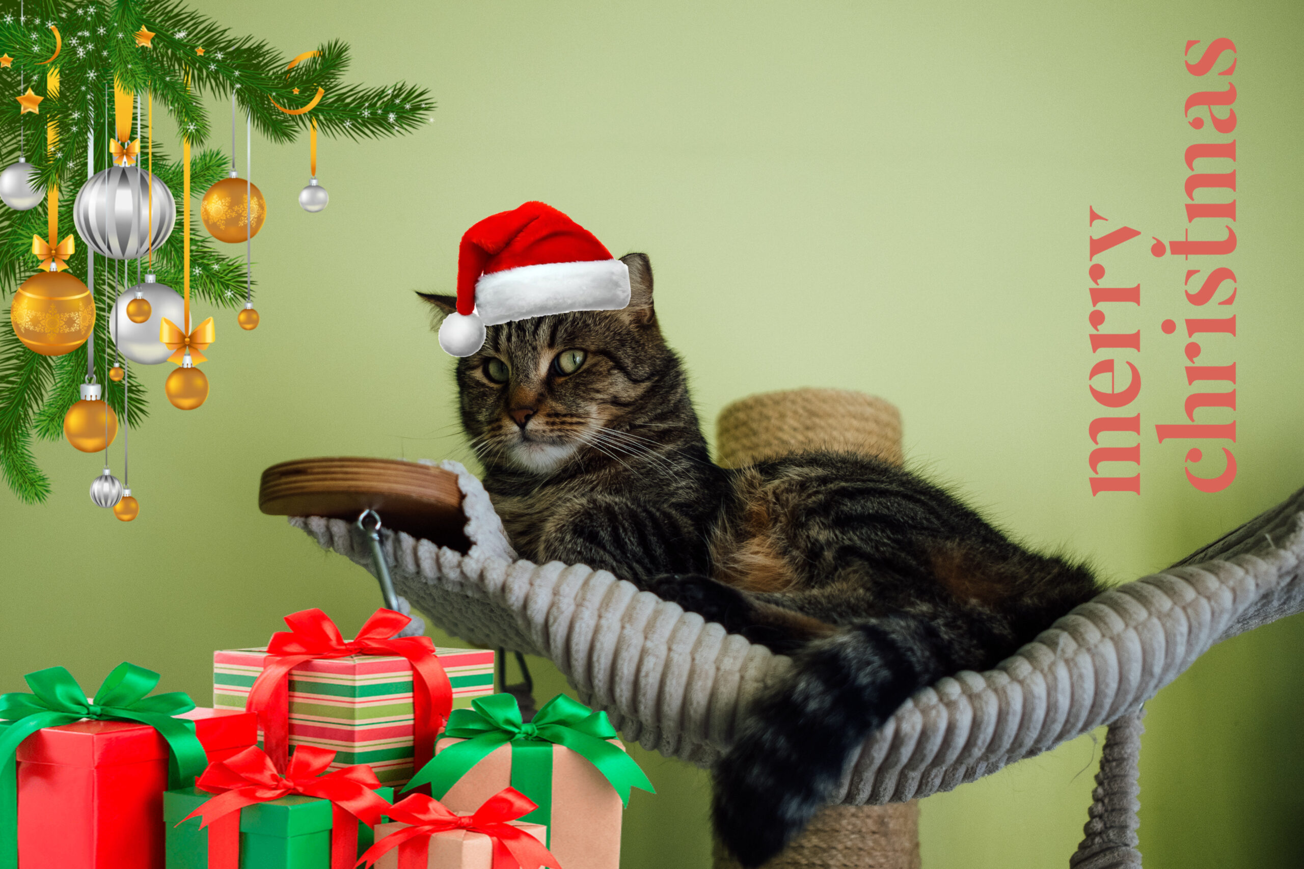 EEE30108-92AC-44A1-BB10-6040F30DA40B