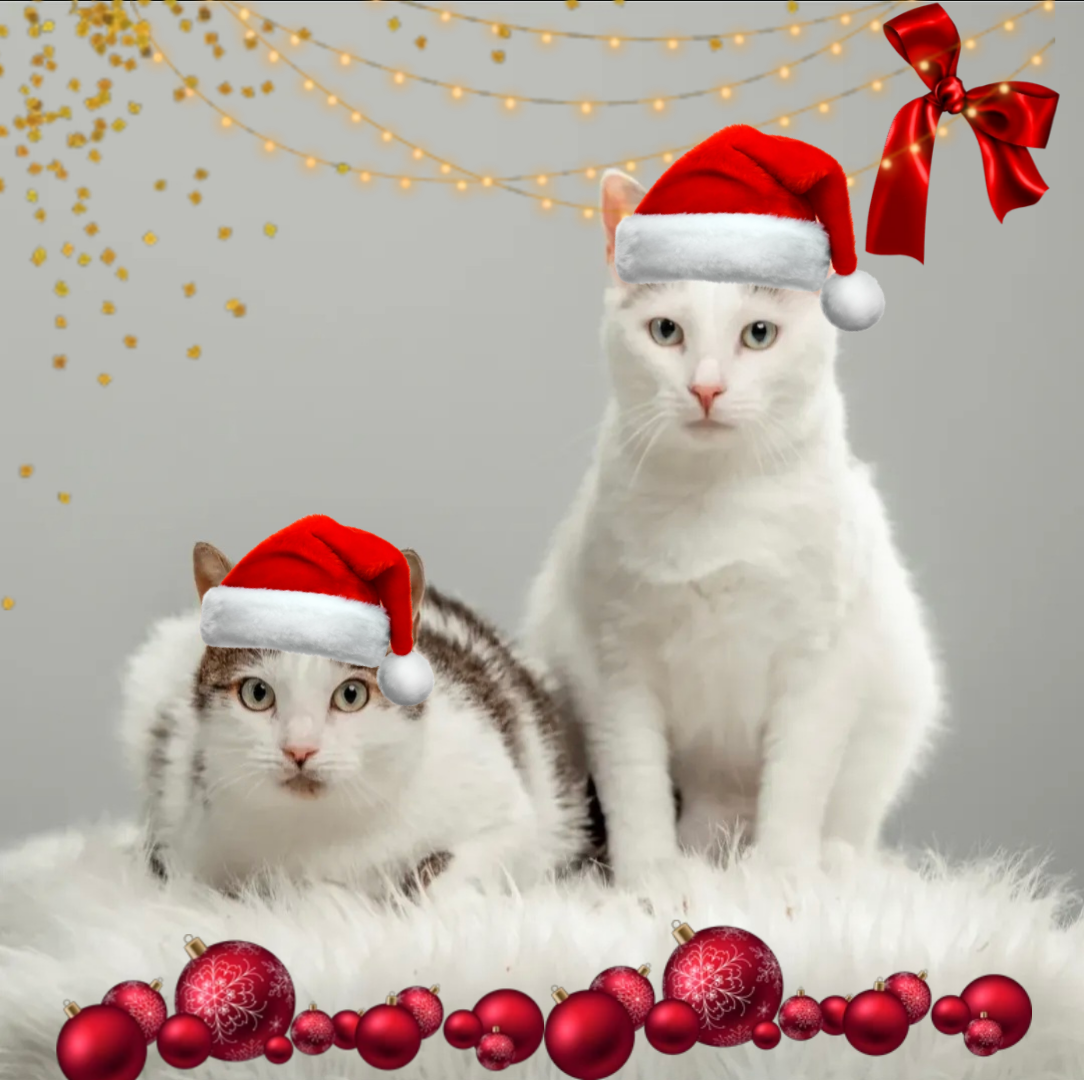 Picsart_25-11-14_19-19-20-670