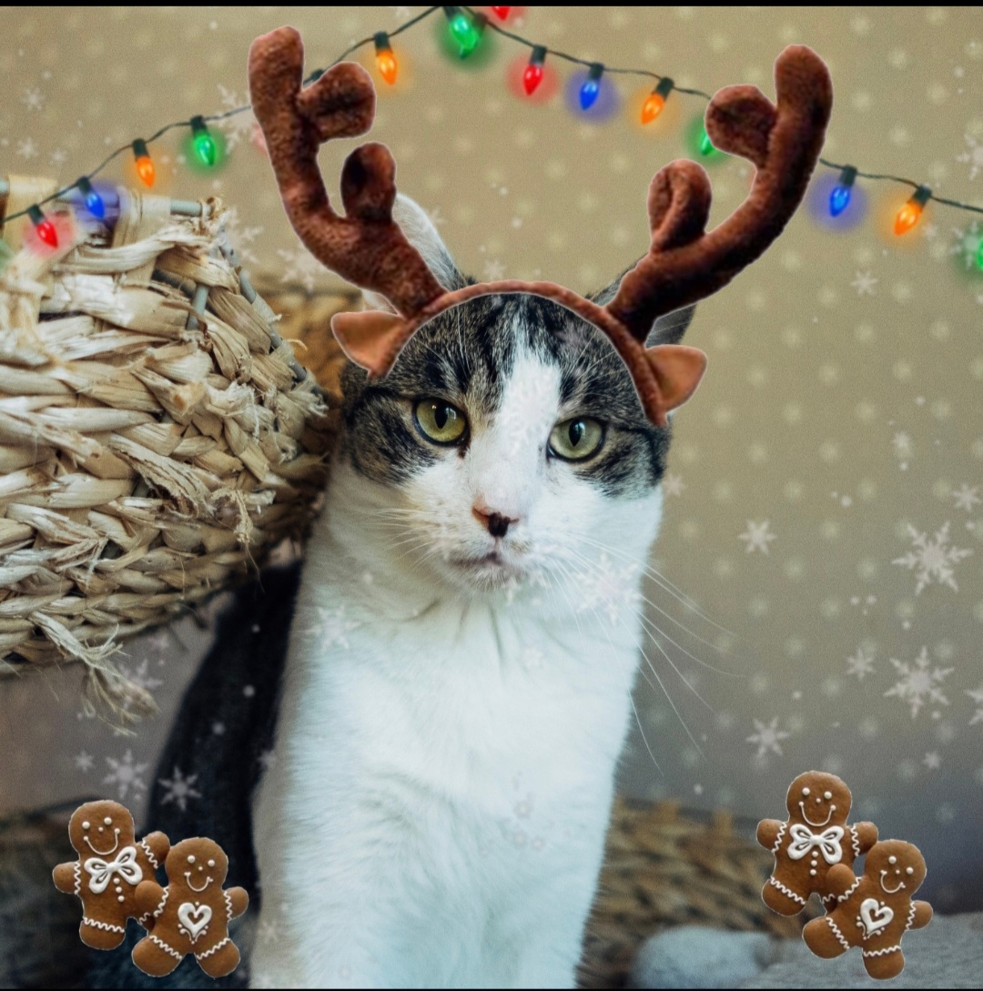 Picsart_25-11-14_19-21-10-952